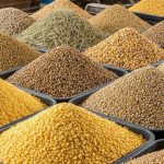 Το κριθάρι «αγγίζει» το σιτάρι: Έκρηξη στις ευρωπαϊκές τιμές