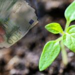 Πληρώθηκε μετά τις 12:00 η εξόφληση της Βασικής και η Αναδιανεμητική - Πώς θα γίνει η πληρωμή αγροτεμαχίων έως 20 στρ. παρά τα ζητήματα ΚΑΕΚ