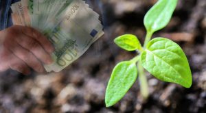 Πληρώθηκε μετά τις 12:00 η εξόφληση της Βασικής και η Αναδιανεμητική - Πώς θα γίνει η πληρωμή αγροτεμαχίων έως 20 στρ. παρά τα ζητήματα ΚΑΕΚ