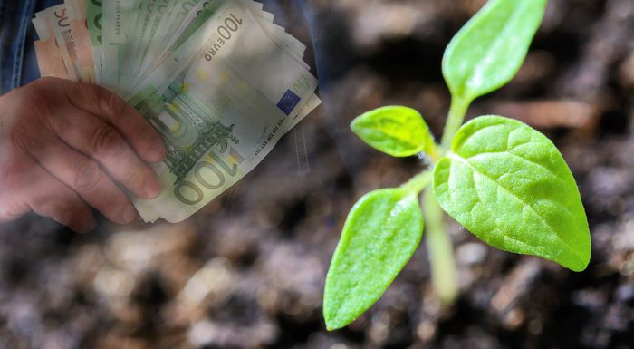 Πληρώθηκε μετά τις 12:00 η εξόφληση της Βασικής και η Αναδιανεμητική - Πώς θα γίνει η πληρωμή αγροτεμαχίων έως 20 στρ. παρά τα ζητήματα ΚΑΕΚ