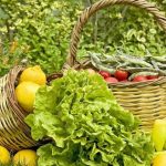 Νέες οδηγίες για τις τελωνειακές διαδικασίες εισαγωγής βιολογικών προϊόντων