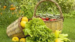 Νέες οδηγίες για τις τελωνειακές διαδικασίες εισαγωγής βιολογικών προϊόντων