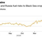 Αγροτικές Ειδήσεις: Σταθεροποίηση των τιμών του σιταριού