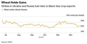 Αγροτικές Ειδήσεις: Σταθεροποίηση των τιμών του σιταριού