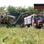 Μείωση αγροτικών εκμεταλλεύσεων το 2023 επιβεβαιώνει η ΕΛΣΤΑΤ