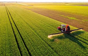 Αστυνομική επιχείρηση για παράνομες επιδοτήσεις από τον ΟΠΕΚΕΠΕ στην Κρήτη – 14 προσαγωγές