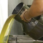 Ελαίας Καρπός