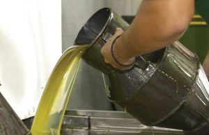 Ελαίας Καρπός