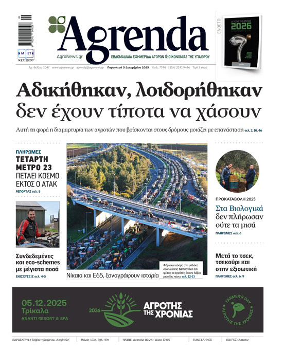 Έχει βρει αγοραστές 75% του ελληνικού σκληρού σίτου, με 290 ευρώ η λίστα της Φότζια