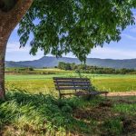 Καραμανλής και Σαμαράς σε ανοιχτή αντιπαράθεση με Μητσοτάκη για το αγροτικό