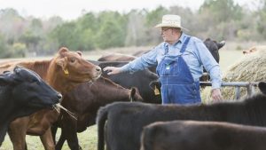 Σχεδόν αδύνατη η είσοδος της γρίπης των πτηνών στην Ευρώπη μέσω γαλακτοκομικών ΗΠΑ λέει η EFSA