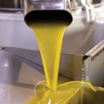 Ελαίας Καρπός