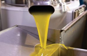 Ελαίας Καρπός