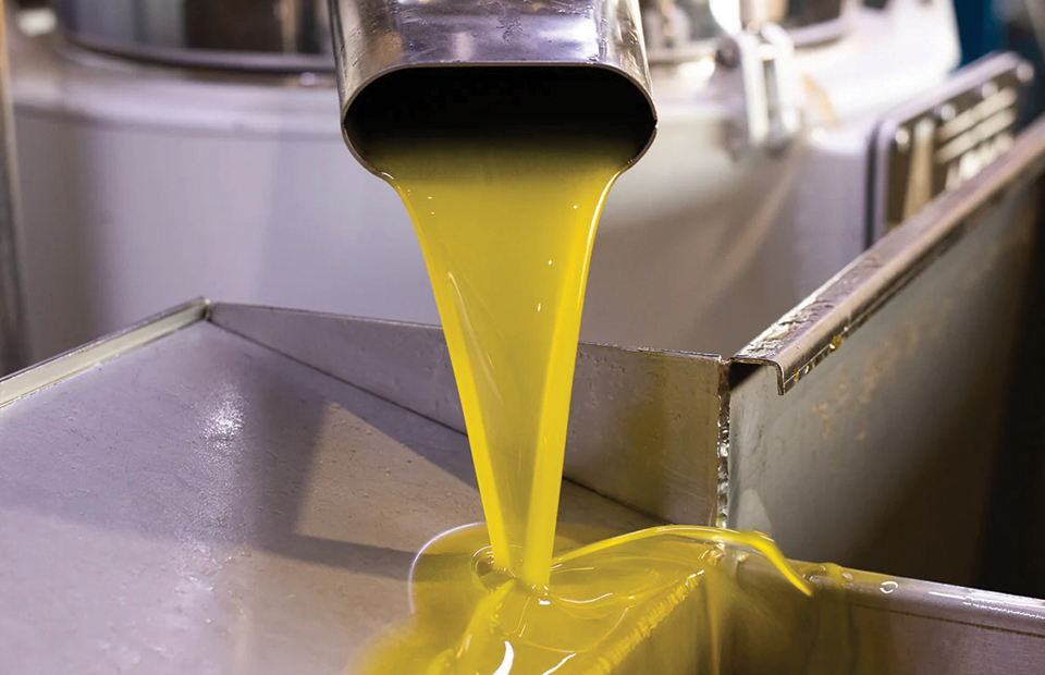 Ελαίας Καρπός