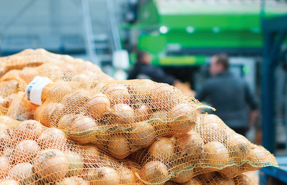 Κατεβάζουν ταχύτητα οι παγκόσμιες εξαγωγές κρεμμυδιών, ελπίδες για ανάκαμψη