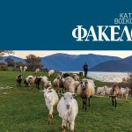 Νέες μαύρες τρύπες στις ενισχύσεις καθώς σταματάει το μέτρημα ζώων και τα κοπάδια υπολογίζονται με βάση τα στοιχεία τιμολογίων