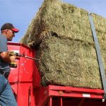 Μπήκε η δεύτερη δόση για το πριμ ζωοτροφών, το νέο έτος υπόλοιπα 15 εκατ. ευρώ