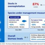Προϊόντα Αλιείας: Μεσόγειος και Μαύρη Θάλασσα: οι ανησυχίες για τη βιωσιμότητα της αλιείας παραμένουν, αλλά η υπεραλίευση πέφτει στο χαμηλότερο επίπεδο της δεκαετίας