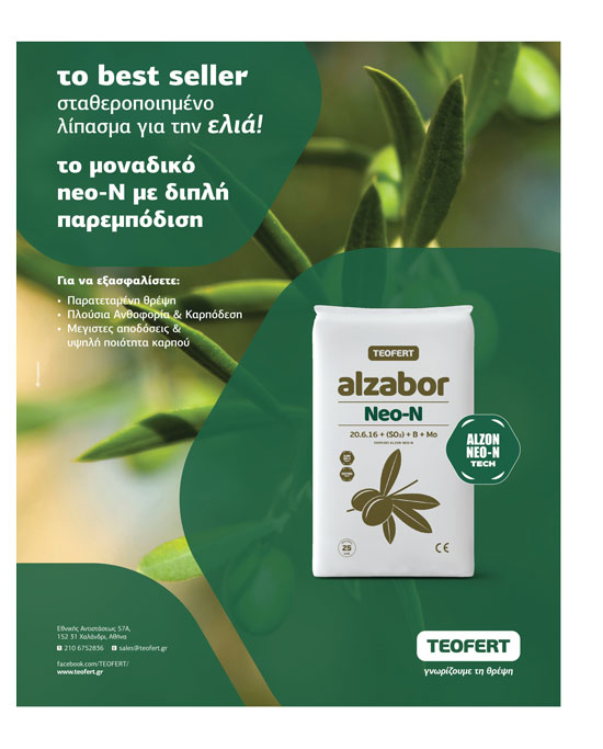 Μετά τη συγκομιδή και το κλάδεμα, βασική λίπανση ελαιώνα για ενδυνάμωση - Ελαίας Καρπός