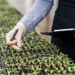 Συμφωνία Συμβουλίου-Κοινοβουλίου ΕΕ για νέους κανόνες ανάπτυξης ΓΤΟ