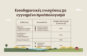 Παρελθόν βασική και  αναδιανεμητική, από το  2028 ενιαίο πλαίσιο και  φθίνουσα στήριξη στα  13 με 24 ευρώ/στρέμμα