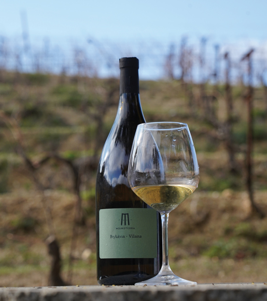 To Moinoterra Winery προσφέρει προγράμματα γευσιγνωσίας.