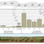Οι ελαιώνες δεσμεύουν το διοξείδιο του άνθρακα και θωρακίζουν το κλίμα