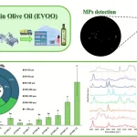 Μικροπλαστικά στο ελαιόλαδο