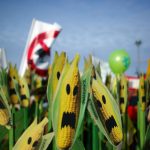 Greenpeace: Νέα μεταλλαγμένα, ίδιοι κίνδυνοι - H Ελλάδα οφείλει να πει “όχι” στη νέα νομοθεσία