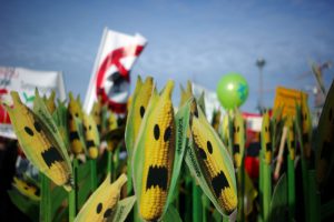 Greenpeace: Νέα μεταλλαγμένα, ίδιοι κίνδυνοι - H Ελλάδα οφείλει να πει “όχι” στη νέα νομοθεσία