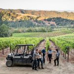 Ο οινοτουρισμός ως σωσίβιο βιωσιμότητας για τα μικρά οινοποιεία