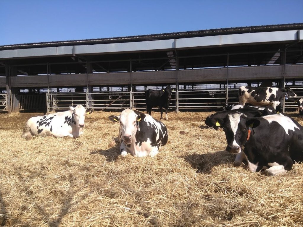 Σύνδεση επιδοτήσεων μόνο με την παραγωγή λέει η ΕΦΧΕ