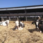 Σύνδεση επιδοτήσεων μόνο με την παραγωγή λέει η ΕΦΧΕ