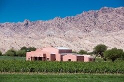 Αγροτικές Ειδήσεις: Το 80% της νομοθεσίας για το κρασί στην Αργεντινή καταργείται στο όνομα της ανταγωνιστικότητας