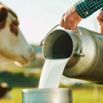 Το «τσουνάμι» παραγωγής γάλακτος στην Ευρωπαϊκή Ένωση φέρνει σημαντική πτώση των τιμών - Τυροκόμος