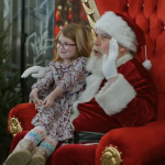 Πέντε οικογένειες πωλητών χριστουγεννιάτικων δέντρων στη Νέα Υόρκη πρωταγωνιστούν σε ντοκιμαντέρ