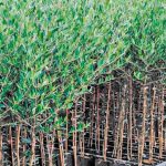 Νέες προσπάθειες για αγροτουρισμό στην Κορινθία