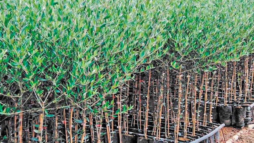 Νέες προσπάθειες για αγροτουρισμό στην Κορινθία