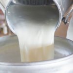 Μικρή αύξηση της παγκόσμιας παραγωγής γάλακτος το 2025 προβλέπει ο FAO - Τυροκόμος