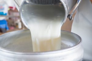 Μικρή αύξηση της παγκόσμιας παραγωγής γάλακτος το 2025 προβλέπει ο FAO - Τυροκόμος