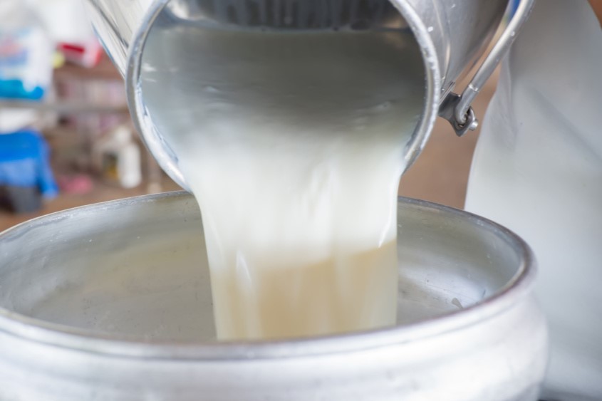 Μικρή αύξηση της παγκόσμιας παραγωγής γάλακτος το 2025 προβλέπει ο FAO - Τυροκόμος