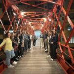 Πώς η επιστήμη βρίσκει λύσεις απέναντι στη Xylella fastidiosa