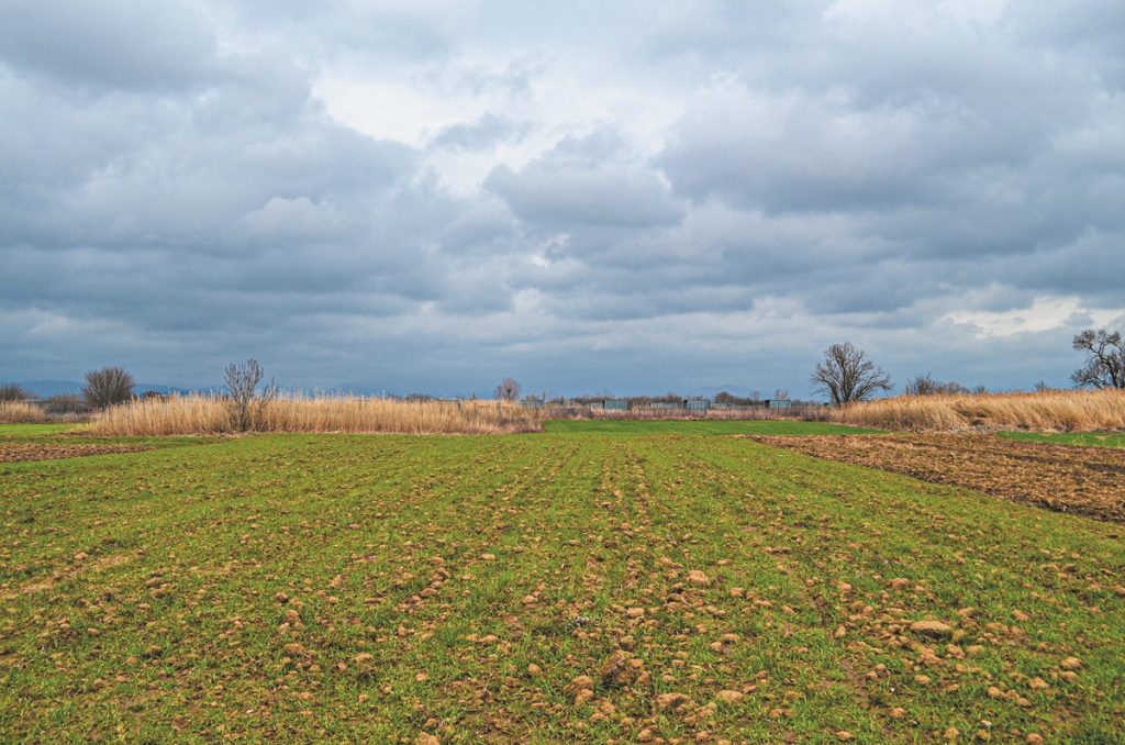 ΑΜΘ: Ψηφιακό αλαλούμ με τις διορθώσεις ΟΠΕΚΕΠΕ - Υπό καθεστώς σοκ οι παραγωγοί