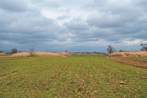 ΑΜΘ: Ψηφιακό αλαλούμ με τις διορθώσεις ΟΠΕΚΕΠΕ - Υπό καθεστώς σοκ οι παραγωγοί