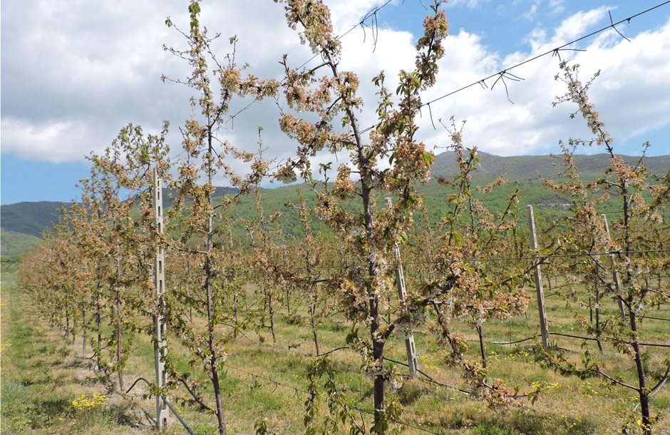 Αγροτεμάχια του πρώην ΕΘΙΑΓΕ παραχωρούνται στην ΠΕ Πέλλας