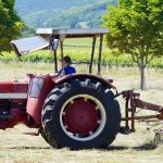 Αγροτικό πετρέλαιο: Τι προβλέπει η νέα εγκύκλιος