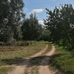 ΓΕΩΤ.Ε.Ε: Ο πρωτογενής τομέας σε δοκιμασία αντοχής