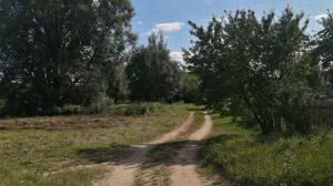 ΓΕΩΤ.Ε.Ε: Ο πρωτογενής τομέας σε δοκιμασία αντοχής