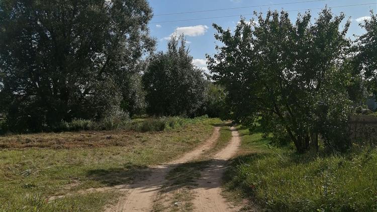 ΓΕΩΤ.Ε.Ε: Ο πρωτογενής τομέας σε δοκιμασία αντοχής