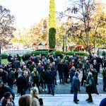 agrotes dikastiria Larisa